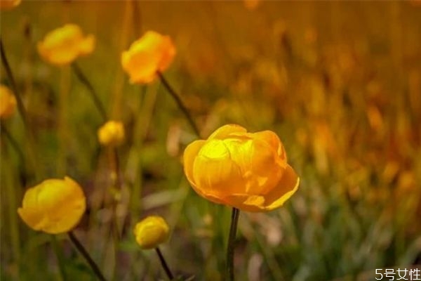 怎樣挽回出軌的丈夫 覺得老公有外遇了怎么辦 怎樣挽回出軌的丈夫 覺得老公有外遇了怎么辦