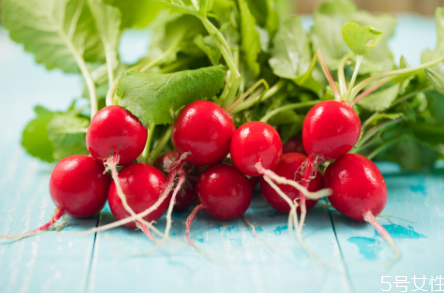 蘿卜纓怎么腌制 蘿卜纓的藥用價值 蘿卜纓怎么腌制 蘿卜纓的藥用價值