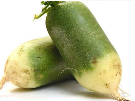 青蘿卜怎么挑選 青蘿卜上火還是降火 青蘿卜怎么挑選 青蘿卜上火還是降火