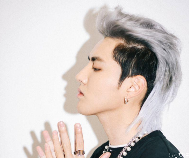 鯔魚頭是什么發(fā)型 鯔魚頭發(fā)型怎么留 鯔魚頭是什么發(fā)型 鯔魚頭發(fā)型怎么留