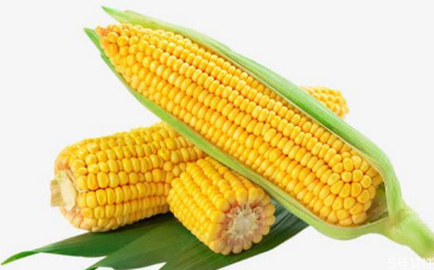 最適合減肥吃的主食 低熱量主食一覽表 最適合減肥吃的主食 低熱量主食一覽表