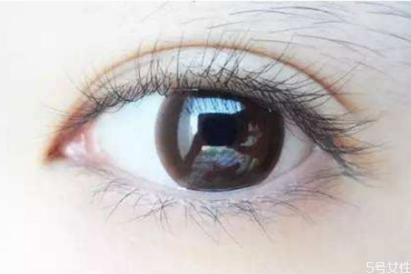 美瞳掉地上還能用嗎 美瞳需要每天換護理液嗎 美瞳掉地上還能用嗎 美瞳需要每天換護理液嗎