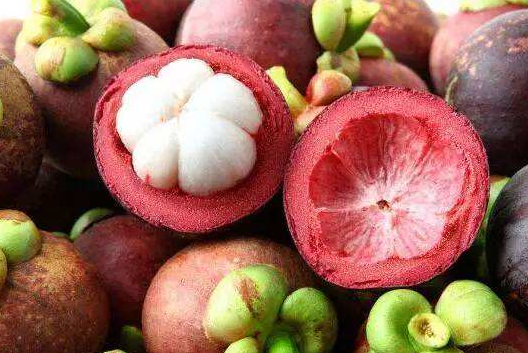 山竹可以減肥嗎 減肥期間吃山竹會(huì)長(zhǎng)胖嗎 山竹可以減肥嗎 減肥期間吃山竹會(huì)長(zhǎng)胖嗎