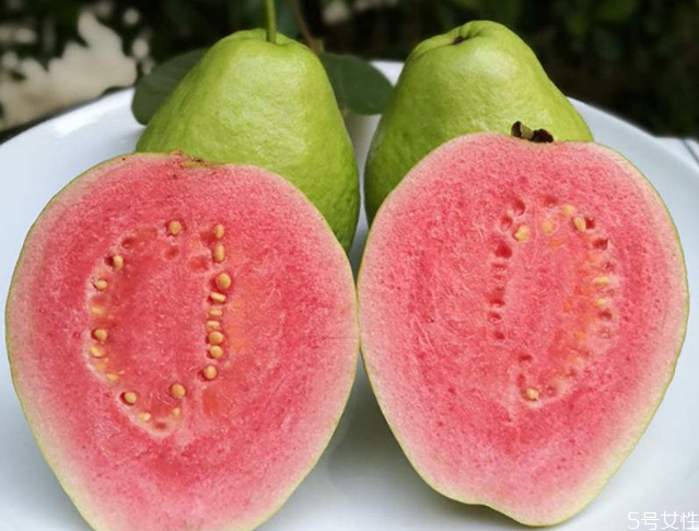 芭樂(lè)放軟了才能吃嗎 芭樂(lè)軟的好吃還是硬的 芭樂(lè)放軟了才能吃嗎 芭樂(lè)軟的好吃還是硬的