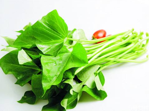 紅薯葉養(yǎng)胃嗎 紅薯葉怎么吃有營(yíng)養(yǎng) 紅薯葉養(yǎng)胃嗎 紅薯葉怎么吃有營(yíng)養(yǎng)