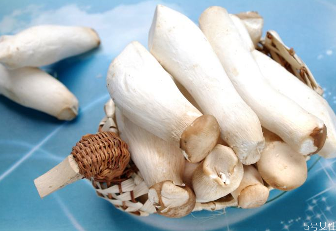 吃杏鮑菇中毒的癥狀 吃杏鮑菇中毒了怎么辦 吃杏鮑菇中毒的癥狀 吃杏鮑菇中毒了怎么辦