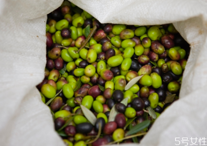 青橄欖泡酒的做法 青橄欖泡酒有什么功效和作用 青橄欖泡酒的做法 青橄欖泡酒有什么功效和作用