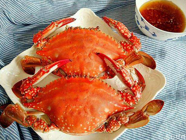 梭子蟹怎么看肥不肥 帶籽的的梭子蟹肥不肥 梭子蟹怎么看肥不肥 帶籽的的梭子蟹肥不肥