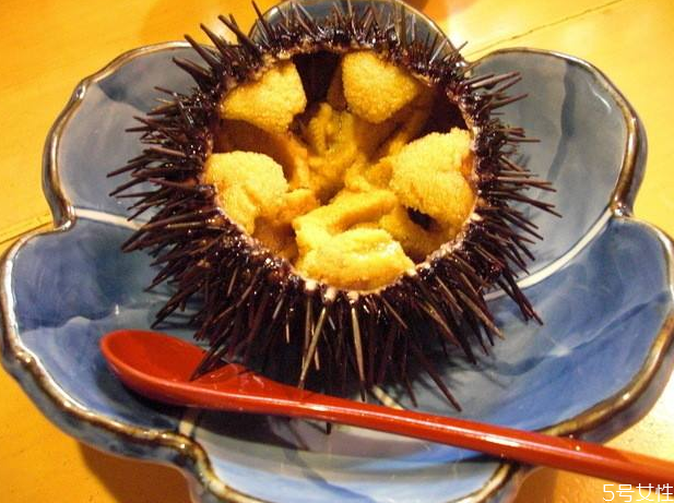 海膽怎么吃比較好 海膽生吃有寄生蟲嗎 海膽怎么吃比較好 海膽生吃有寄生蟲嗎