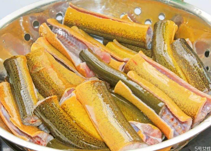 黃鱔在家里清水能養(yǎng)嗎 黃鱔在魚(yú)缸能長(zhǎng)期養(yǎng)嗎 黃鱔在家里清水能養(yǎng)嗎 黃鱔在魚(yú)缸能長(zhǎng)期養(yǎng)嗎