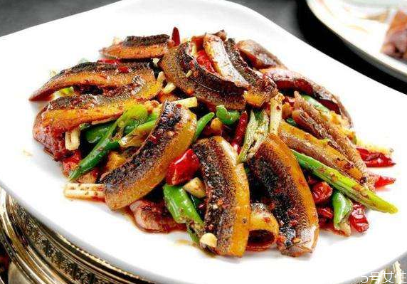 黃鱔在家里清水能養(yǎng)嗎 黃鱔在魚(yú)缸能長(zhǎng)期養(yǎng)嗎 黃鱔在家里清水能養(yǎng)嗎 黃鱔在魚(yú)缸能長(zhǎng)期養(yǎng)嗎