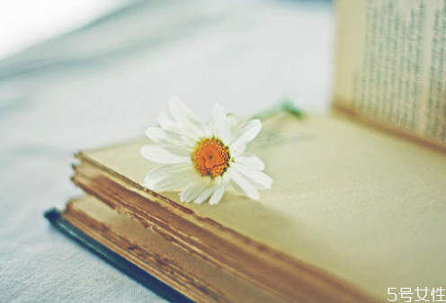 網(wǎng)戀分手后怎么讓對方主動聯(lián)系你 網(wǎng)戀分手是什么感受 網(wǎng)戀分手后怎么讓對方主動聯(lián)系你 網(wǎng)戀分手是什么感受