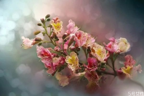 拒絕過的男生還能挽回么 男生放棄后還會回頭嗎 拒絕過的男生還能挽回么 男生放棄后還會回頭嗎