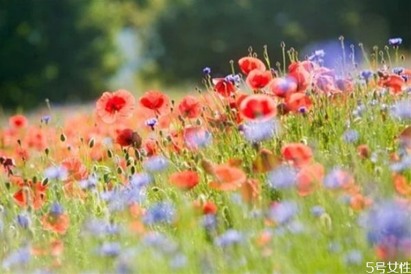 女人消失了意味著什么 男人怎樣挽回女人心 女人消失了意味著什么 男人怎樣挽回女人心