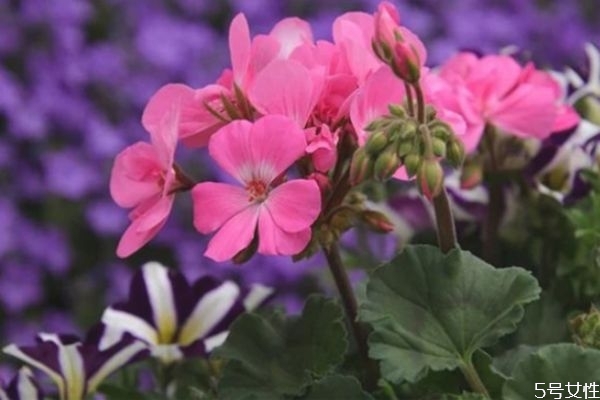 為什么男朋友總說自己沒本事 男人在女人面前自卑的表現(xiàn) 為什么男朋友總說自己沒本事 男人在女人面前自卑的表現(xiàn)