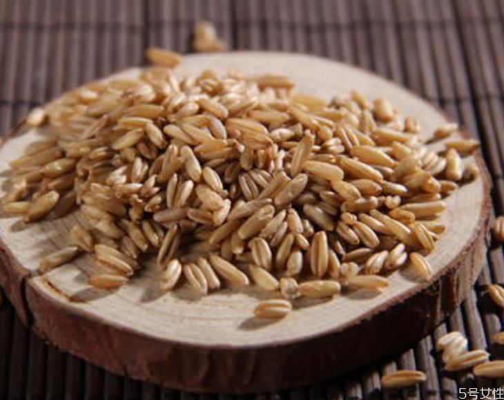 燕麥米怎么吃減肥最快 減肥吃糙米還是燕麥米好 燕麥米怎么吃減肥最快 減肥吃糙米還是燕麥米好