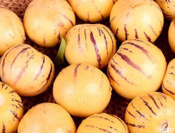 人參果怎么挑 人參果價(jià)格多少 人參果怎么挑 人參果價(jià)格多少