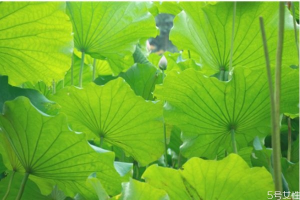 長期分居后女人出軌的表現(xiàn) 女人精神出軌會有哪些表現(xiàn) 長期分居后女人出軌的表現(xiàn) 女人精神出軌會有哪些表現(xiàn)