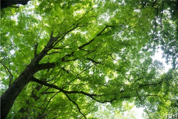 渣男為什么突然會(huì)結(jié)婚 渣男為什么突然重視感情了 渣男為什么突然會(huì)結(jié)婚 渣男為什么突然重視感情了