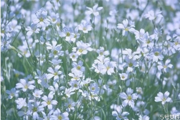 女人消失了意味著什么 男人怎樣挽回女人心 女人消失了意味著什么 男人怎樣挽回女人心