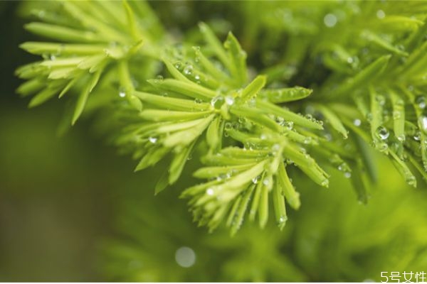 渣男為什么突然會(huì)結(jié)婚 渣男為什么突然重視感情了 渣男為什么突然會(huì)結(jié)婚 渣男為什么突然重視感情了