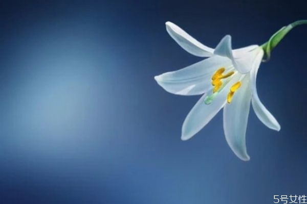 老婆和我冷戰(zhàn)怎么辦 如何緩解夫妻長(zhǎng)期冷戰(zhàn) 老婆和我冷戰(zhàn)怎么辦 如何緩解夫妻長(zhǎng)期冷戰(zhàn)