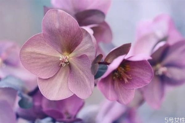 婚外情男人越絕情越說明 男人結(jié)束婚外情的手段 婚外情男人越絕情越說明 男人結(jié)束婚外情的手段