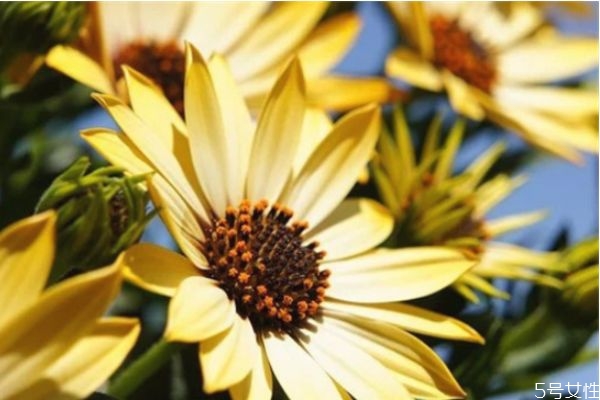 老公外面有女人聰明老婆怎么做 聰明妻子怎么做 老公外面有女人聰明老婆怎么做 聰明妻子怎么做