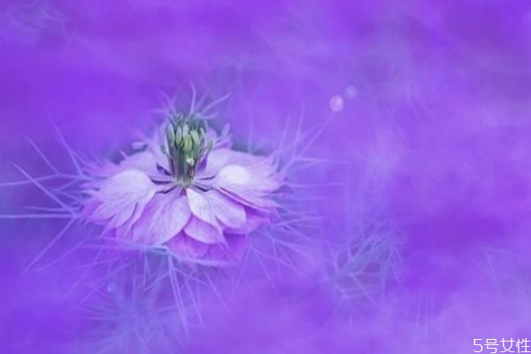 婚外情男人越絕情越說明 男人結(jié)束婚外情的手段 婚外情男人越絕情越說明 男人結(jié)束婚外情的手段