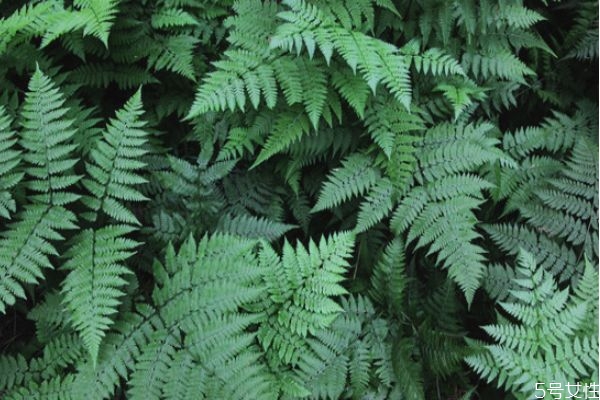 婆媳關(guān)系非常不好怎么辦 怎樣和婆婆相處才聰明 婆媳關(guān)系非常不好怎么辦 怎樣和婆婆相處才聰明