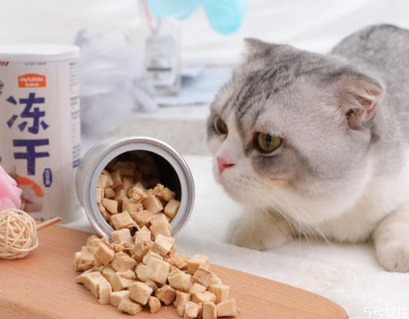 貓為什么吐貓糧 貓吐了一堆軟化的貓糧 貓為什么吐貓糧 貓吐了一堆軟化的貓糧