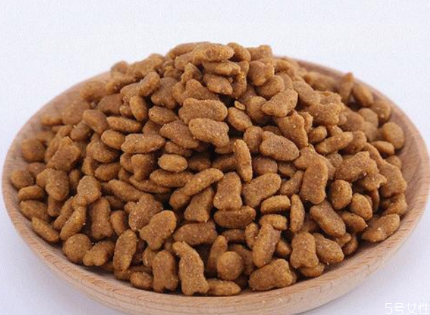 貓咪不吃貓糧怎么辦 貓會挑食把自己餓死嗎 貓咪不吃貓糧怎么辦 貓會挑食把自己餓死嗎