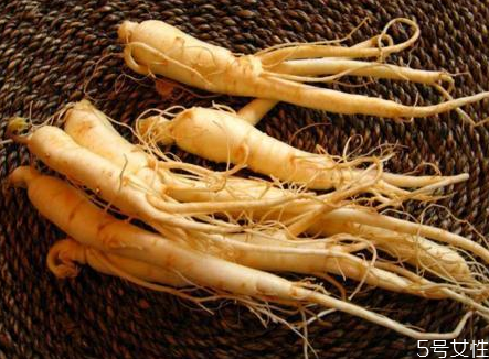 鮮人參泡酒怎么泡 新鮮人參泡酒注意事項 鮮人參泡酒怎么泡 新鮮人參泡酒注意事項