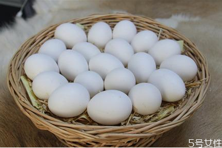 烏雞蛋好還是土雞蛋好 烏雞蛋和土雞蛋的區(qū)別 烏雞蛋好還是土雞蛋好 烏雞蛋和土雞蛋的區(qū)別