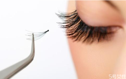 為什么種了睫毛顯老 不適合嫁接睫毛的人群 為什么種了睫毛顯老 不適合嫁接睫毛的人群
