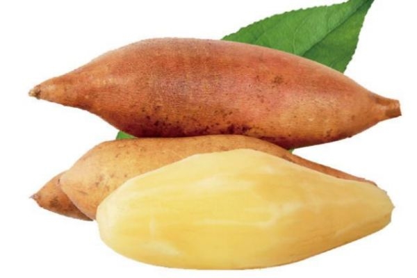 雪蓮果什么季節(jié)吃比較好 吃雪蓮果的禁忌 雪蓮果什么季節(jié)吃比較好 吃雪蓮果的禁忌