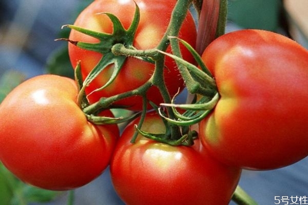 西紅柿如何去皮 番茄去皮開水燙多久 西紅柿如何去皮 番茄去皮開水燙多久