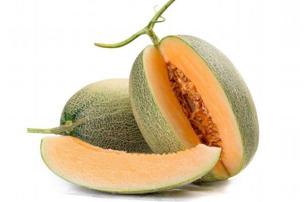 哈密瓜根部爛了一點(diǎn)能吃嗎 哈密瓜怎樣保存不容易爛 哈密瓜根部爛了一點(diǎn)能吃嗎 哈密瓜怎樣保存不容易爛