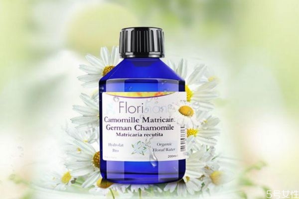 洋甘菊純露可以天天使用嗎 洋甘菊純露的作用 洋甘菊純露可以天天使用嗎 洋甘菊純露的作用