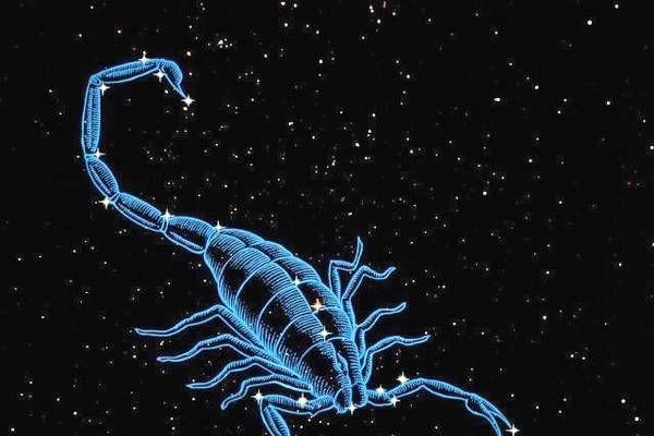 天蝎座男生最配星座 天蝎座男生的愛情性格特征 天蝎座男生最配星座 天蝎座男生的愛情性格特征