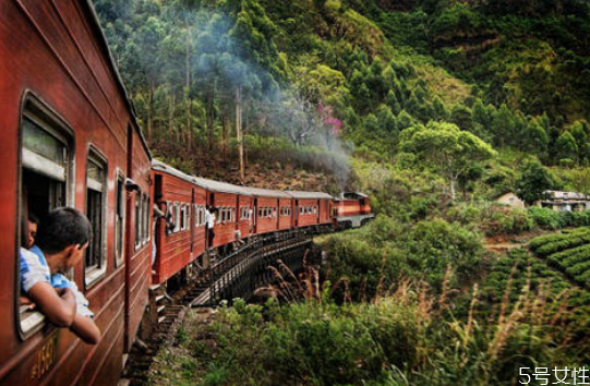 火車票候補能買到票嗎 火車票候補訂單成功率 火車票候補能買到票嗎 火車票候補訂單成功率