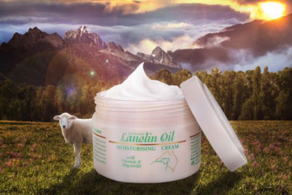 綿羊油和綿羊脂有什么區(qū)別 綿羊油和綿羊脂有什么不同 綿羊油和綿羊脂有什么區(qū)別 綿羊油和綿羊脂有什么不同