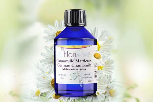 洋甘菊純露的護(hù)膚功效 洋甘菊純露的護(hù)膚作用 洋甘菊純露的護(hù)膚功效 洋甘菊純露的護(hù)膚作用