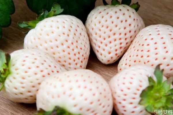 白草莓好還是紅草莓好 白草莓比紅草莓好吃嗎 白草莓好還是紅草莓好 白草莓比紅草莓好吃嗎