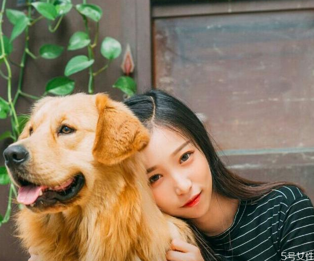 狗狗臨死前為什么嚎叫 狗狗臨死前的表現(xiàn) 狗狗臨死前為什么嚎叫 狗狗臨死前的表現(xiàn)