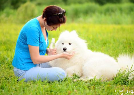 狗狗怎么訓(xùn)練才聽話 訓(xùn)練狗狗離開主人不叫 狗狗怎么訓(xùn)練才聽話 訓(xùn)練狗狗離開主人不叫