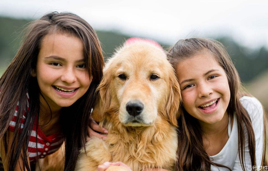 狗狗怎么訓(xùn)練才聽話 訓(xùn)練狗狗離開主人不叫 狗狗怎么訓(xùn)練才聽話 訓(xùn)練狗狗離開主人不叫