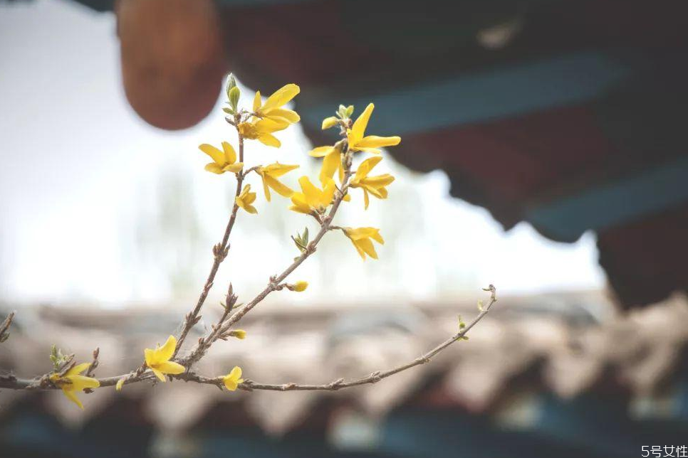 立春時(shí)間2021幾點(diǎn)幾分 2021年幾點(diǎn)打春幾點(diǎn)結(jié)束 立春時(shí)間2021幾點(diǎn)幾分 2021年幾點(diǎn)打春幾點(diǎn)結(jié)束