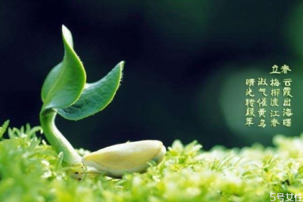 躲春時(shí)間和方法 躲春的原因 躲春時(shí)間和方法 躲春的原因