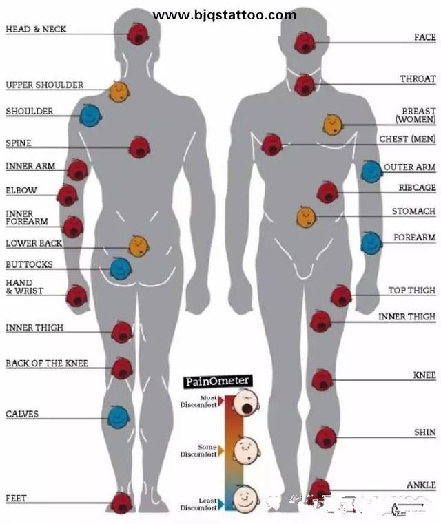 紋身疼不疼 在所難免卻可忍受 紋身疼不疼 在所難免卻可忍受